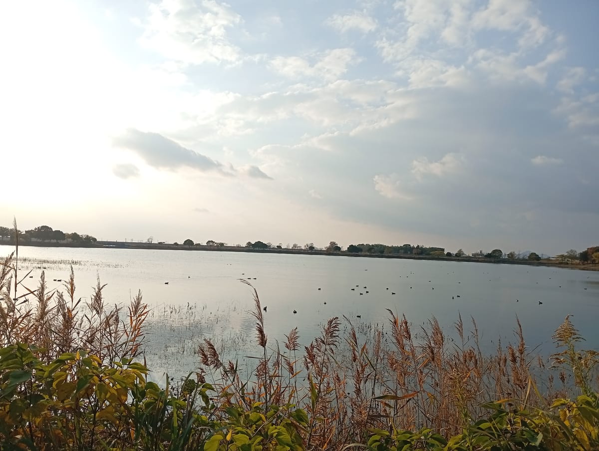 Line  of  the  Clouds